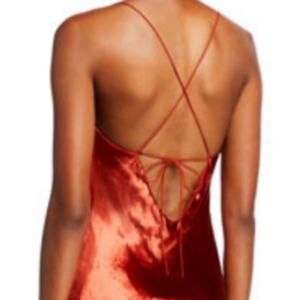 Gorgeous Mestiza New York Mara Velvet V-Neck Maxi Slip Dress Size M. — image 4 of 8